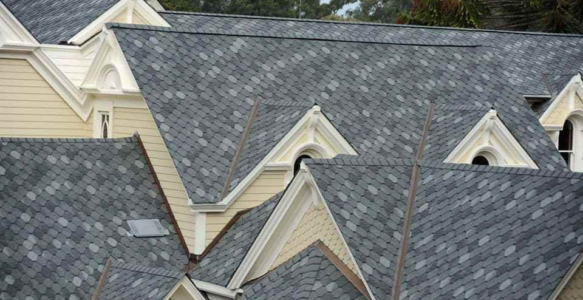 Bitumen Roof dengan Variasi Warna yang Banyak dan Kokoh